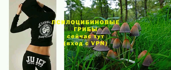 молекула духа Абинск